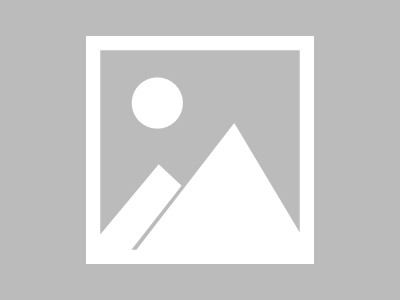 理解动态商务，从数据驱动的商务模式